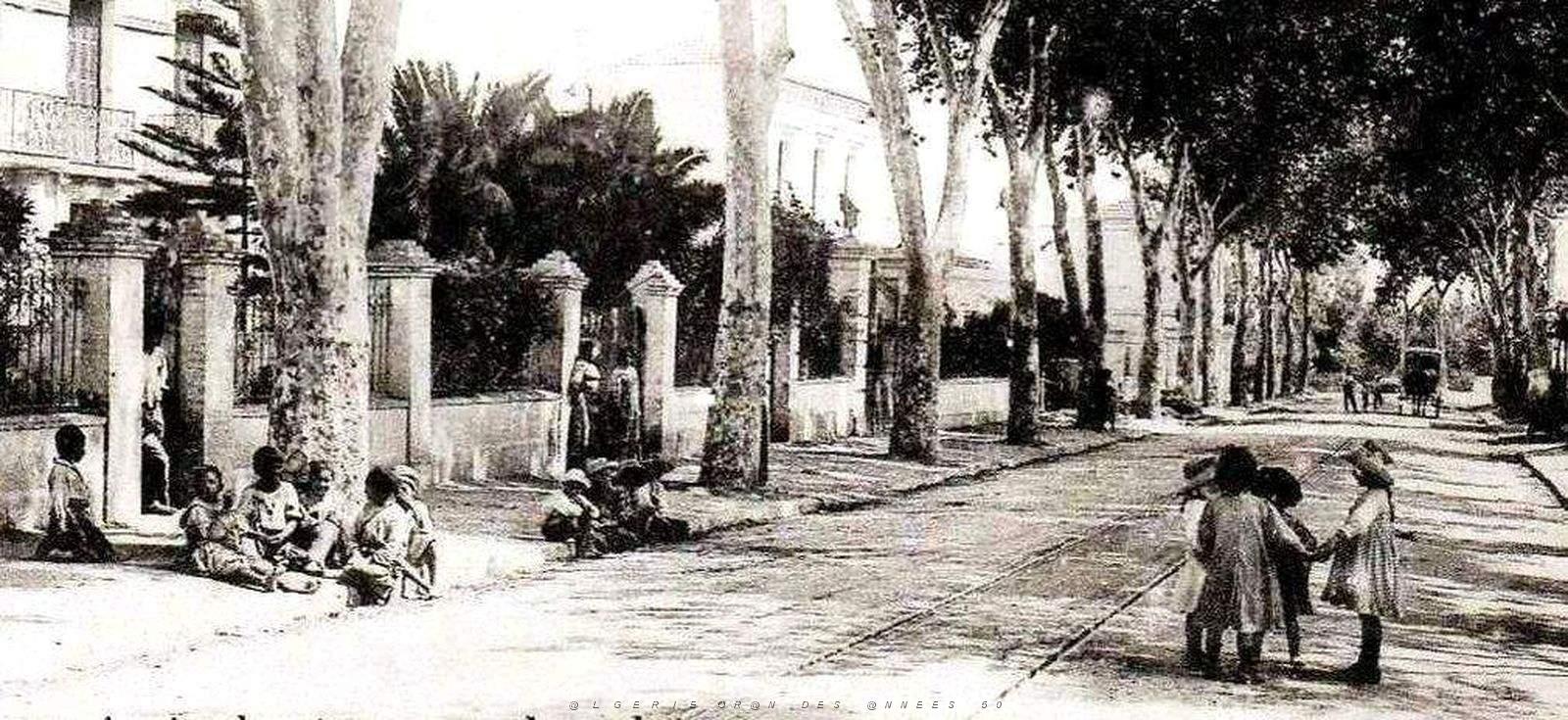 2183- Zeralda - Rue Principale et Avenue des Platanes2.jpg